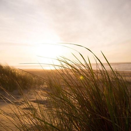 Kleine Nordseewelle Ohne Hund Norden Esterno foto
