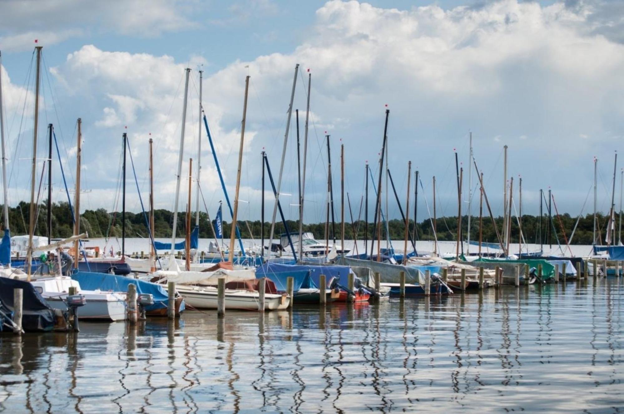Kleine Nordseewelle Ohne Hund Norden Esterno foto